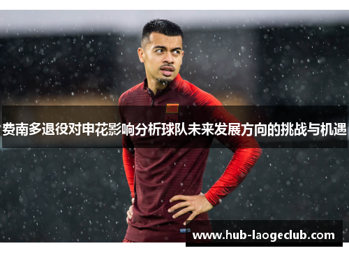 费南多退役对申花影响分析球队未来发展方向的挑战与机遇