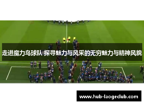 走进魔力鸟球队 探寻魅力与风采的无穷魅力与精神风貌