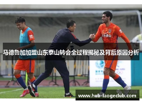 马德鲁加加盟山东泰山转会全过程揭秘及背后原因分析