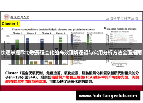 快速掌握欧协联赛程变化的高效理解逻辑与实用分析方法全面指南