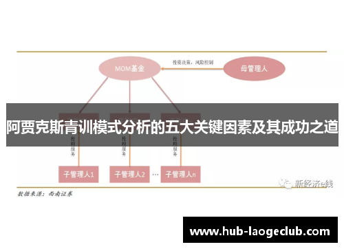 阿贾克斯青训模式分析的五大关键因素及其成功之道 阿贾克斯青训模式分析的五大关键因素及其成功之道